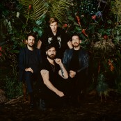 Foals