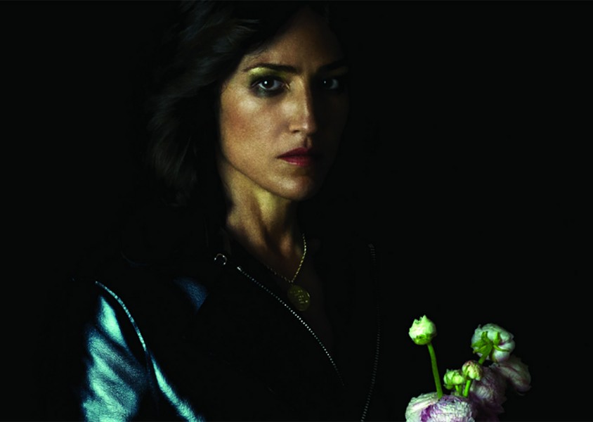 Joan As Police Women