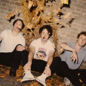The Wombats