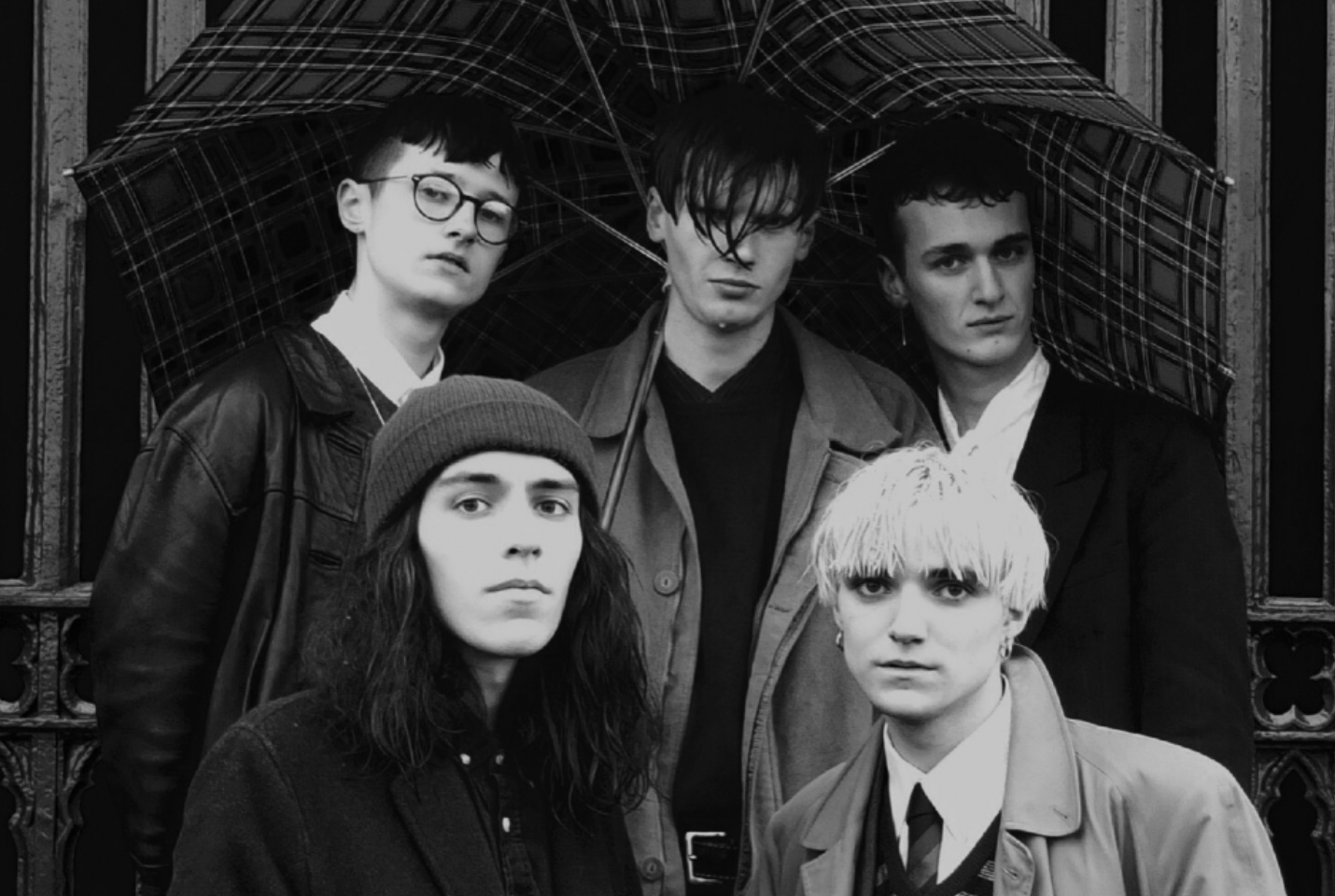 Q&A: Walt Disco